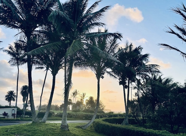 Hawaii Koloa
