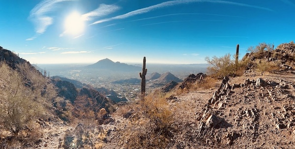Phoenix view