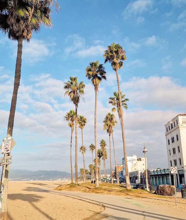 Venice Los Angeles