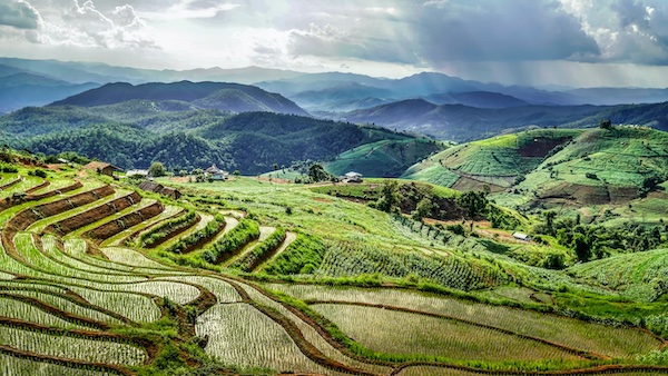 green travel tips