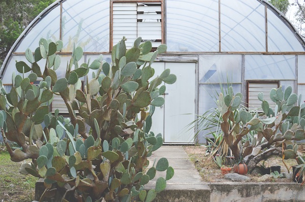 Zilker Botanical Gardens